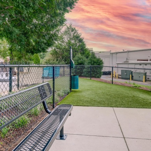 Berkshire Chapel Hill is a pet-friendly community! dog park with a bench