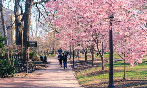 Apts Near Franklin Street Cover Image