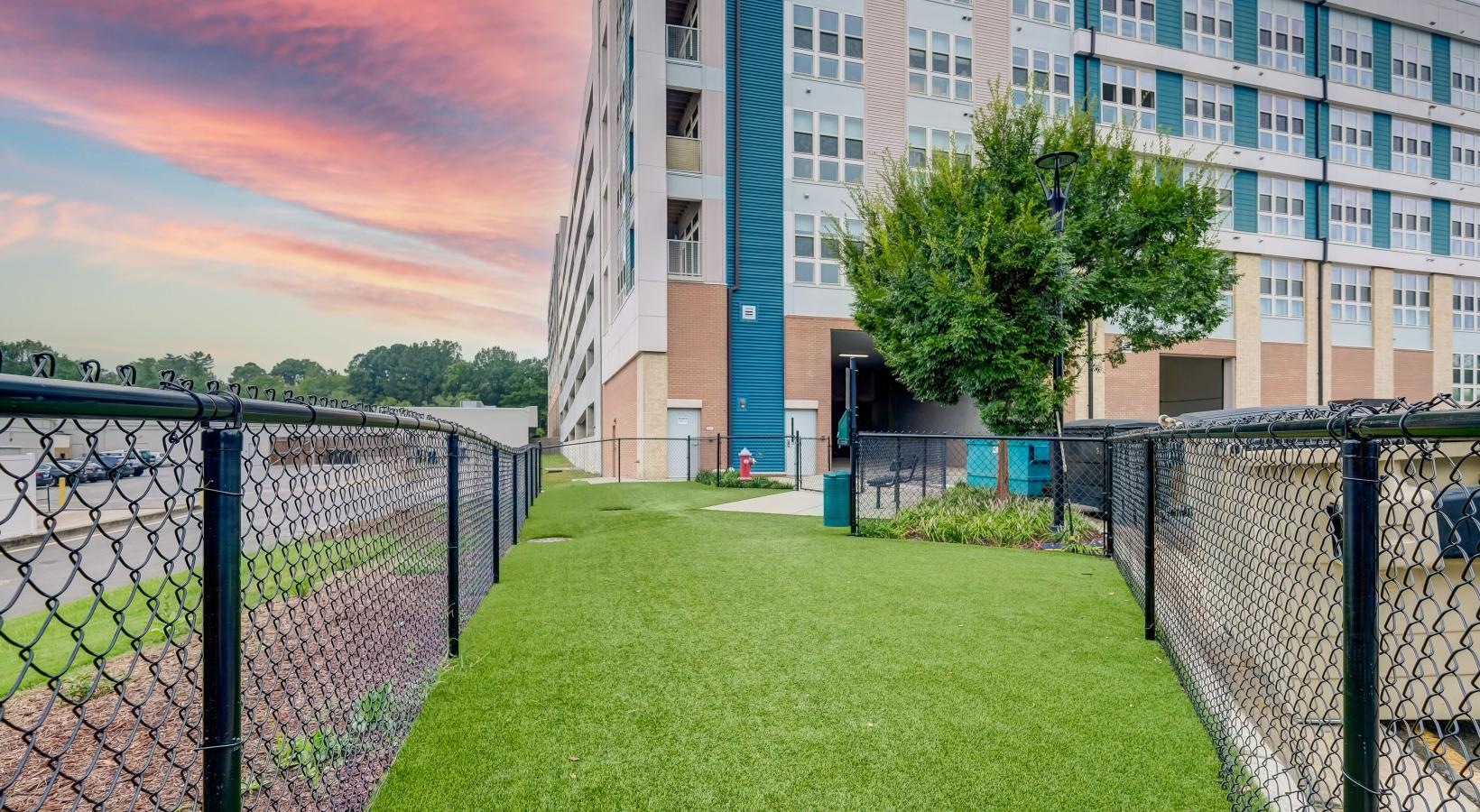We love our furry friends fenced-in dog park
