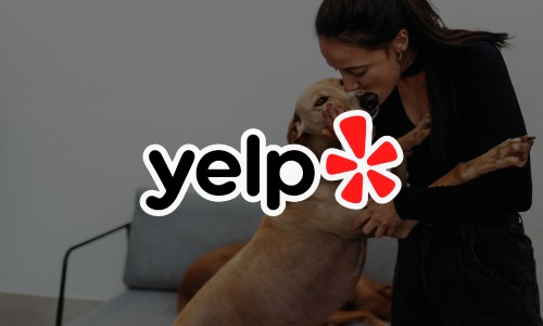 YELP YELP